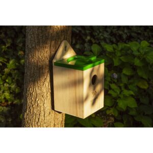 Bird Box on tree