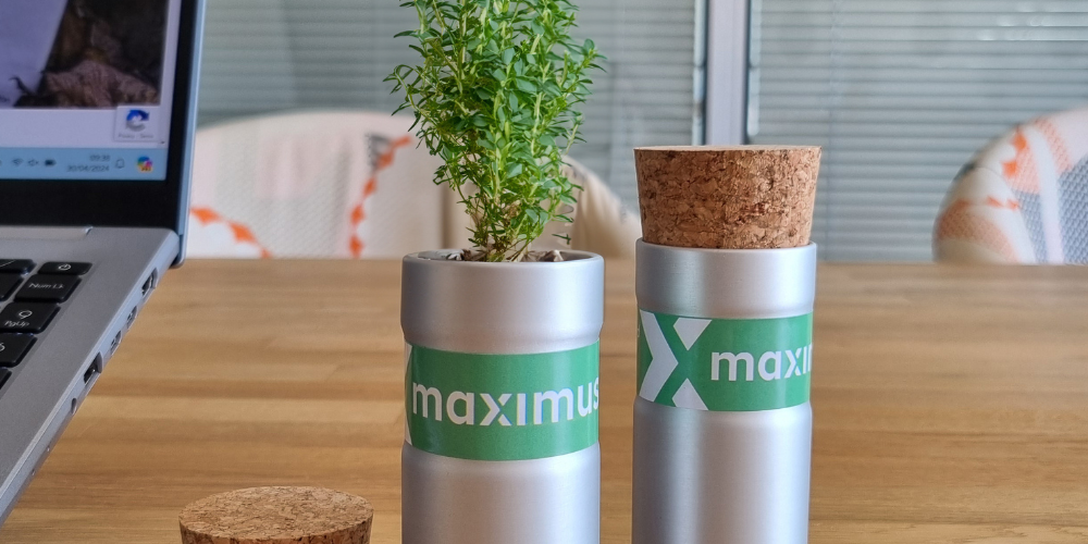Maximus Promotional Desktop Plants