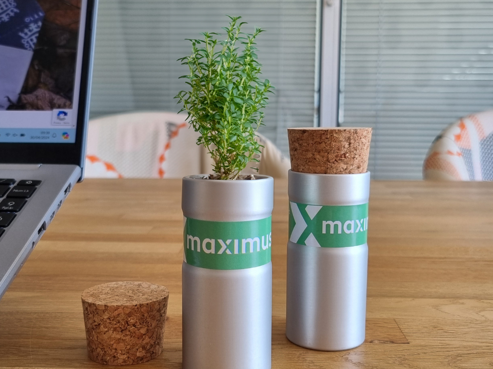 Maximus Promotional Desktop Plants