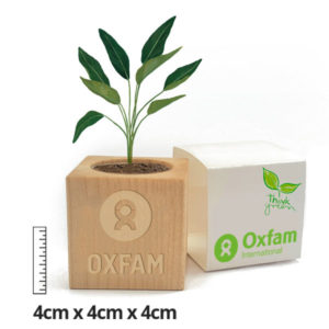 Eco-Friendly Mini Promotional Plant Cube