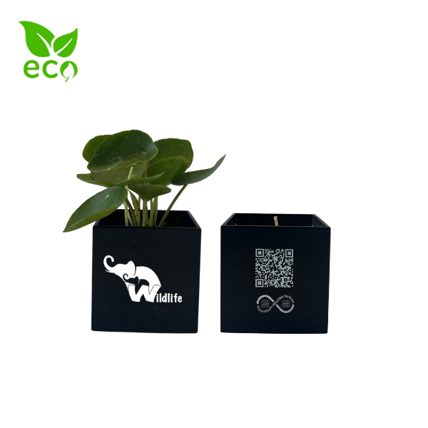 Branded Plant And Candle Pack