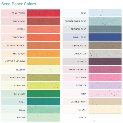 Seed Paper Wristband Colour Options