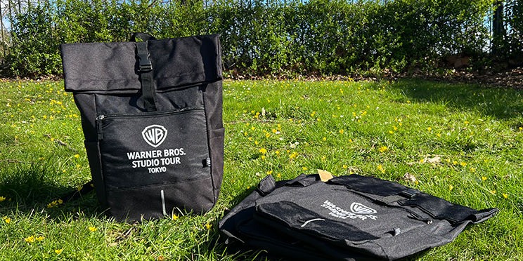 Warner Bros Rpet Roll-Top Backpack
