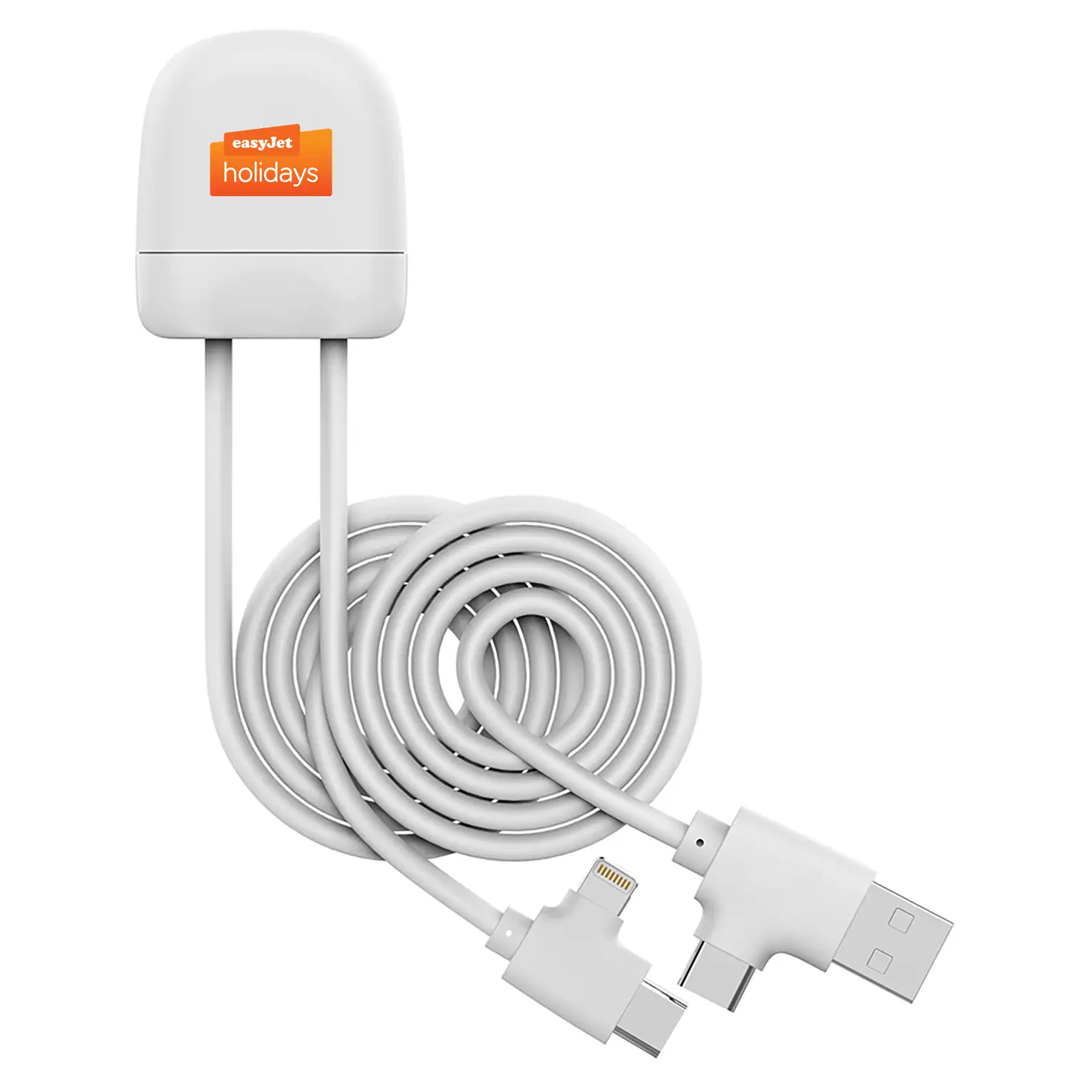 Ice-Tag Branded Charge Cable