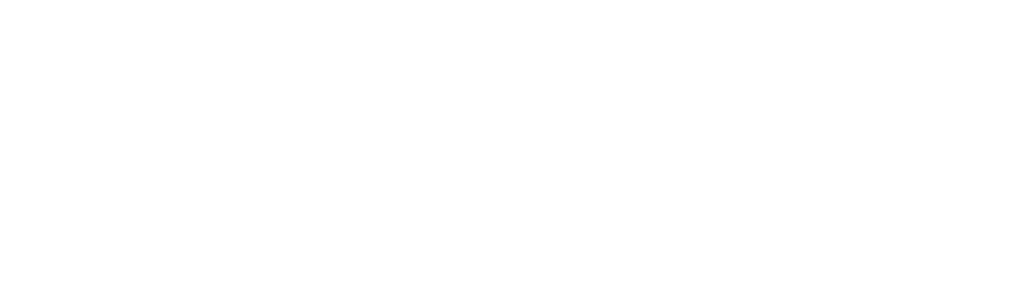 Baltimore Logo White