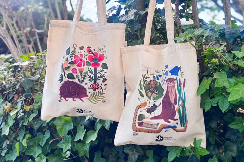 Case Study Bags1 Uai