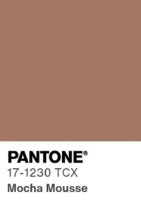 Pantone 2025 Mocha Mousse