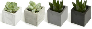 Branded clay plant pots in 4 different shades