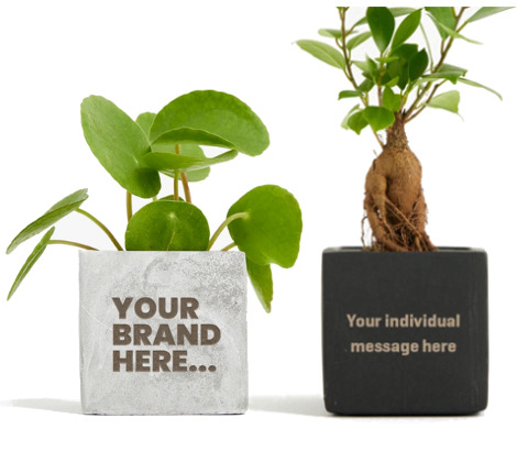Clay plant pots with etched branding